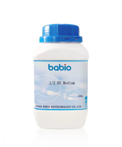 1/2 B5 vừa