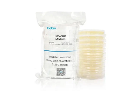 Môi trường Agar R2A: Tiêu chuẩn vàng để theo dõi vi sinh vật trong ngành dược phẩm, thực phẩm và mỹ phẩm