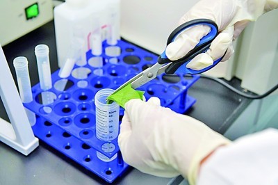 Nhận dạng vi khuẩn đáng tin cậy được thực hiện đơn giản với bộ đồ nhuộm Babio từ Gram