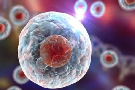 Babio ra mắt bộ VTM không bị bất hoạt được CE chứng nhận trên toàn cầu