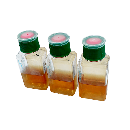 Tại sao việc lựa chọn một môi trường nuôi cấy vi sinh thích hợp rất quan trọng để chẩn đoán?