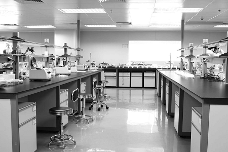 Babio Salmonella Shigella Agar: Phương tiện đáng tin cậy cho an toàn thực phẩm và chẩn đoán lâm sàng