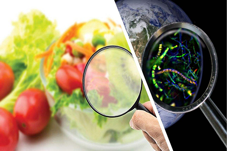 BABIO ra mắt băng thử nghiệm nhanh Aflatoxin B1 để kiểm soát an toàn thực phẩm toàn cầu