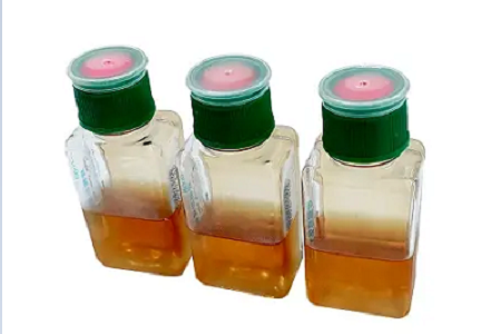 Chai cấy máu BABIO hỗ trợ phát hiện nhiễm trùng máu nhanh hơn, đáng tin cậy hơn