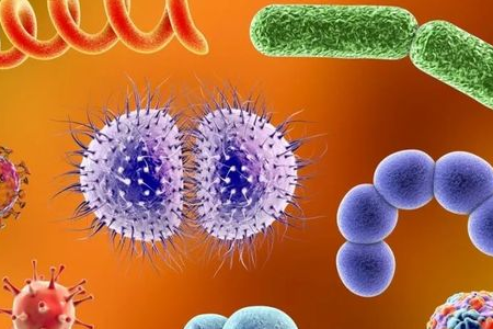 BABIO ra mắt môi trường làm giàu Salmonella Shigella để vận chuyển mầm bệnh đường ruột đáng tin cậy