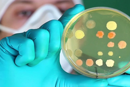 BABIO ra mắt nước luộc đậu nành Trypticase cao cấp (TSB) dành cho vi sinh lâm sàng và phòng thí nghiệm toàn cầu