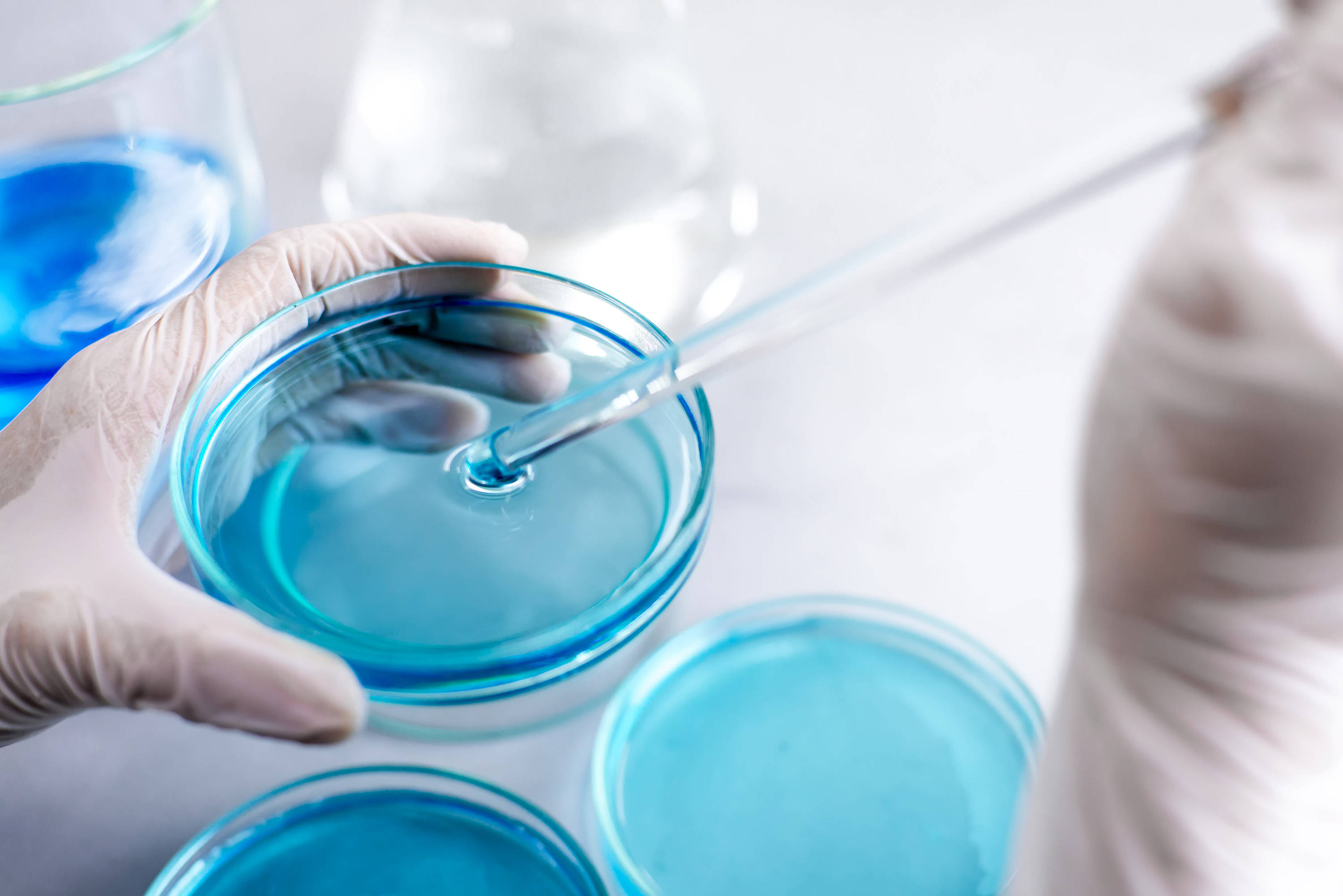 Nước đệm Peptone BABIO hỗ trợ quá trình tiền làm giàu mầm bệnh thực phẩm đáng tin cậy