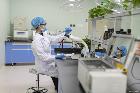 Nước đệm Peptone: Sự khởi đầu đáng tin cậy để kiểm tra vi khuẩn Salmonella