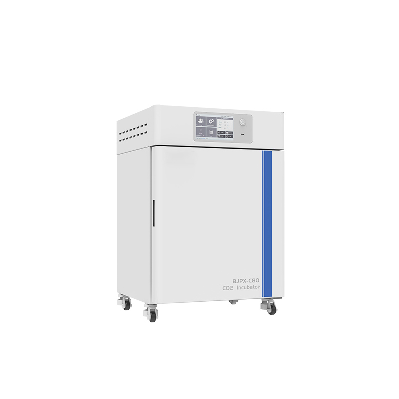 Tủ ấm CO2 BJPX-C50 BJPX-C80 BJPX-C160 BJPX-C80S BJPX-C160S